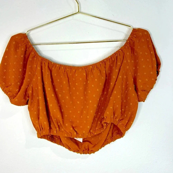🆕 Lush Rust Colored Crop Top - Picture 6 of 9